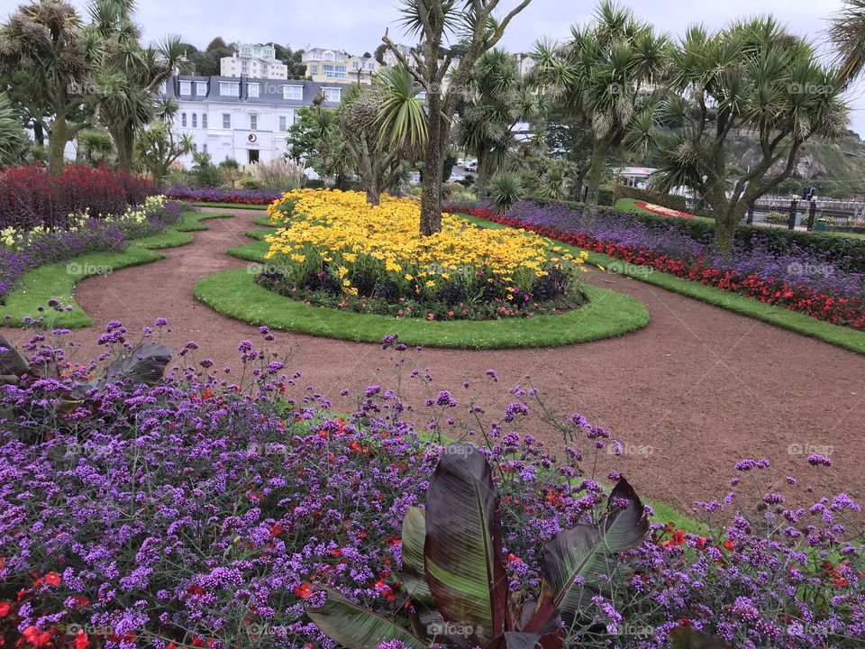 Beautiful oh so beautiful Torquay seafront parks.