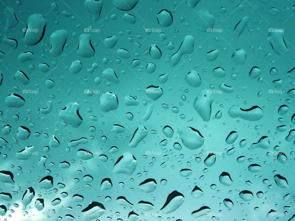 regndroppar droppar water rain by Titania