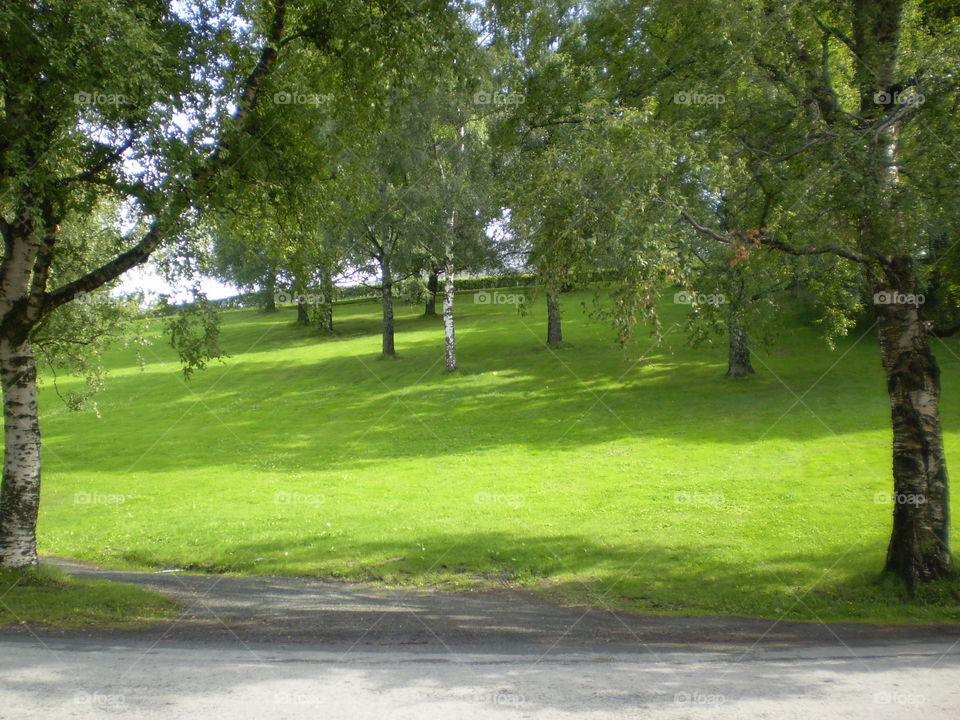 Park