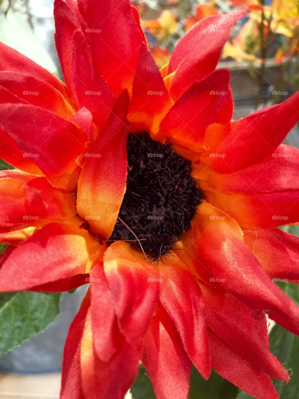 Huge flower in red