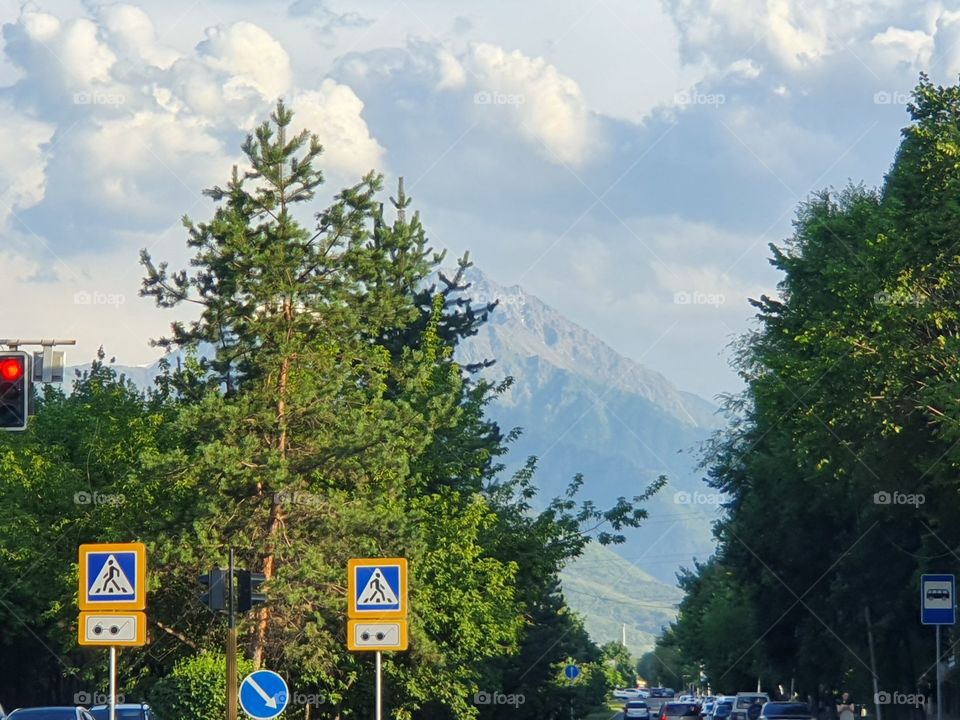 tree and mountain overlap