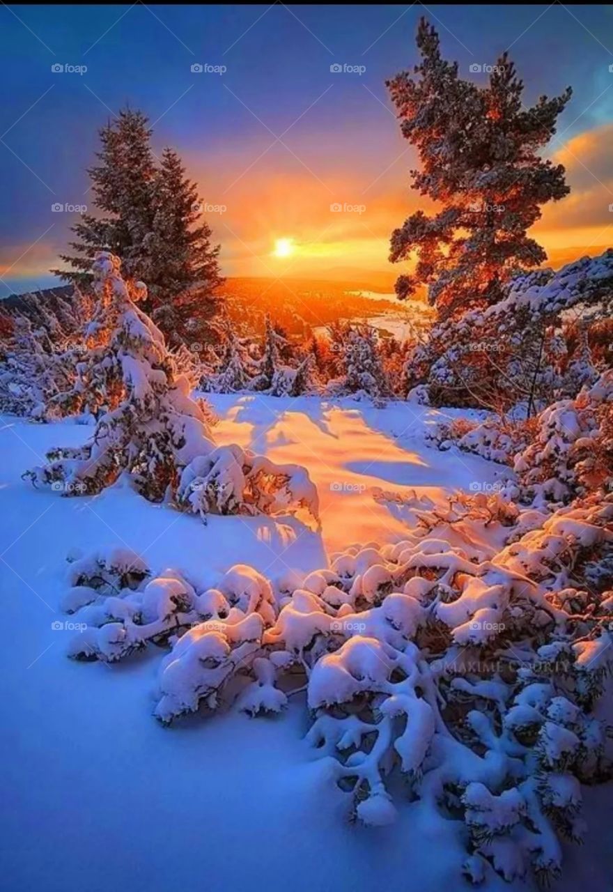 Winter❄️❄️❄️