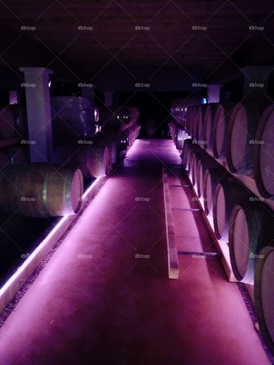 cave, tonneaux