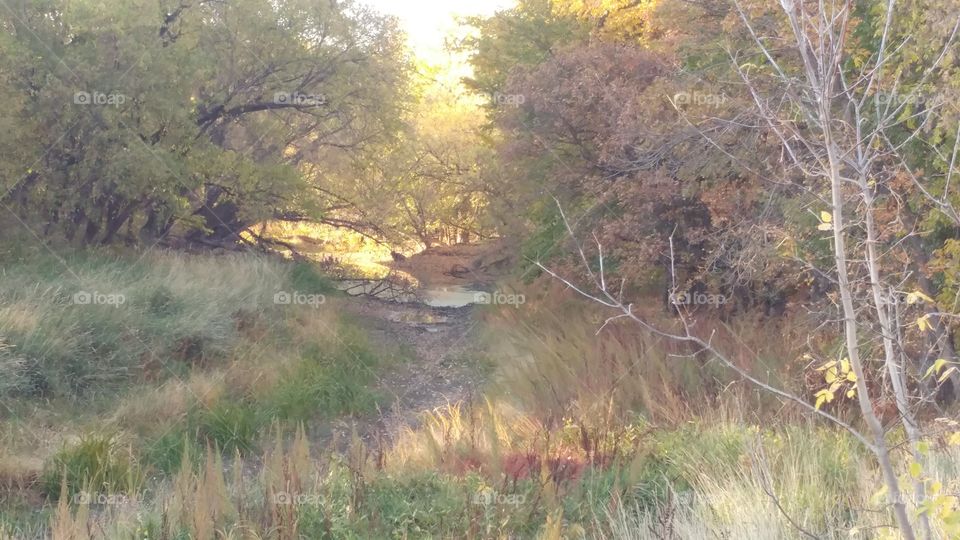 fall creek