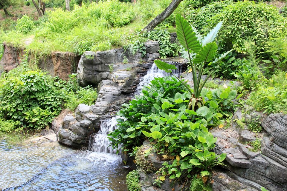 Waterfall in a rainforest 