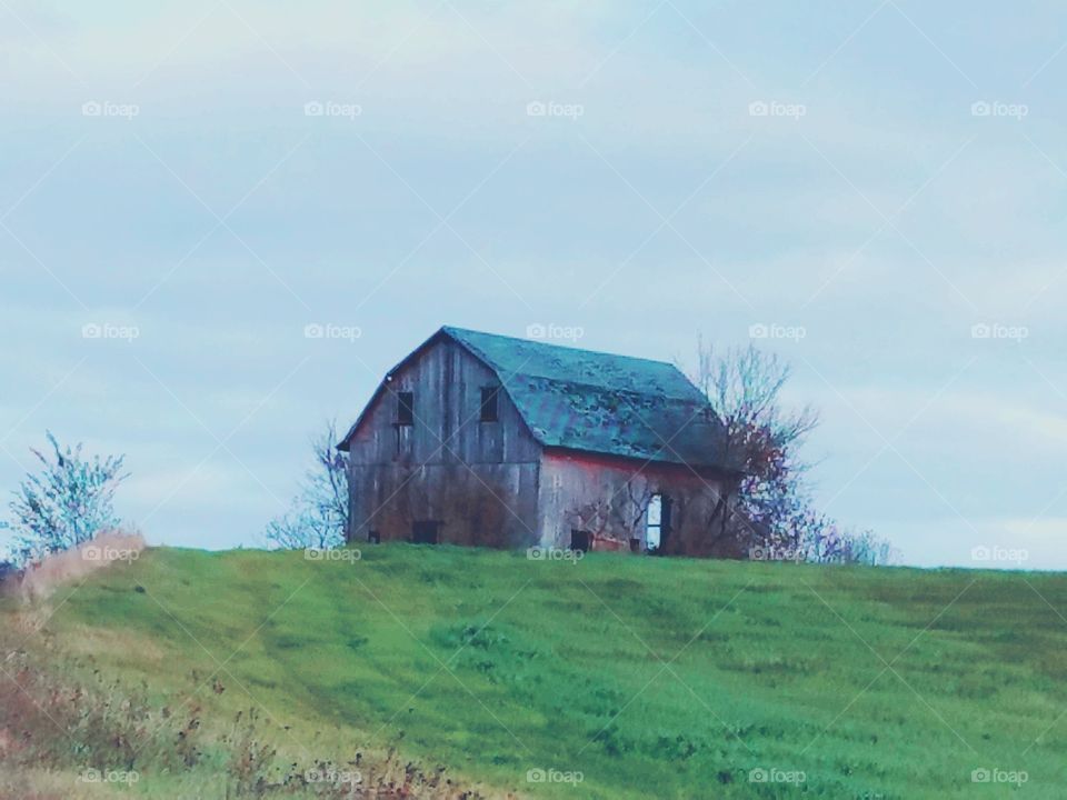 Last standing. 
The old barn stands alone