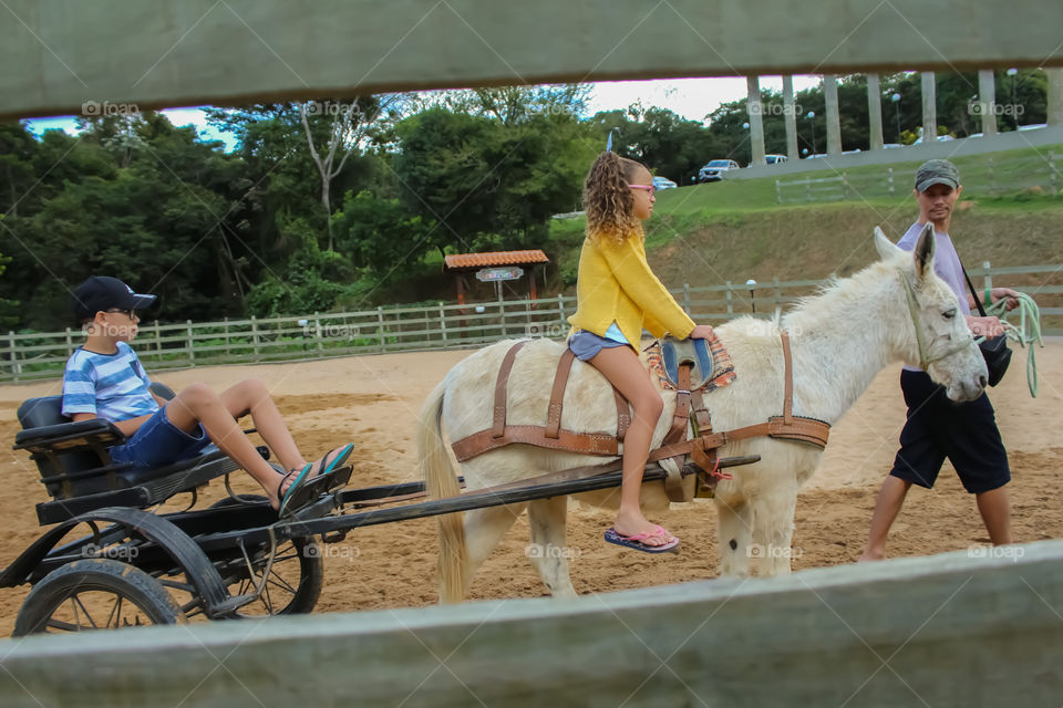 Father with his sons riding horses