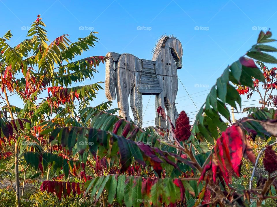 The horse above the sumac.  Sculpture by Bernard Langlais stands above autumn kissed sumac leaves.