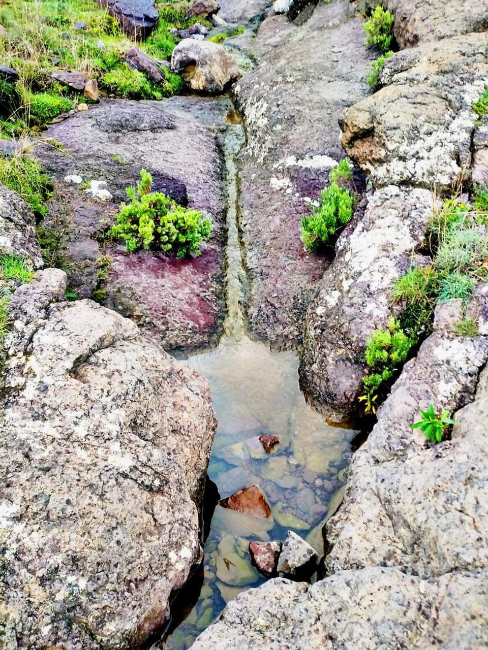 Glory be to God, the magnificent and picturesque view and the natural green trees are a view that is nothing more wonderful than it