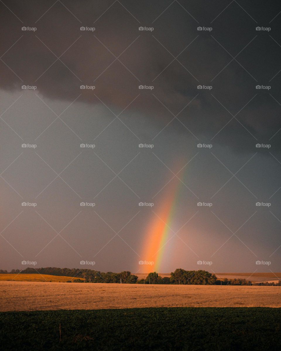 "Beautiful things don't ask for attention..."