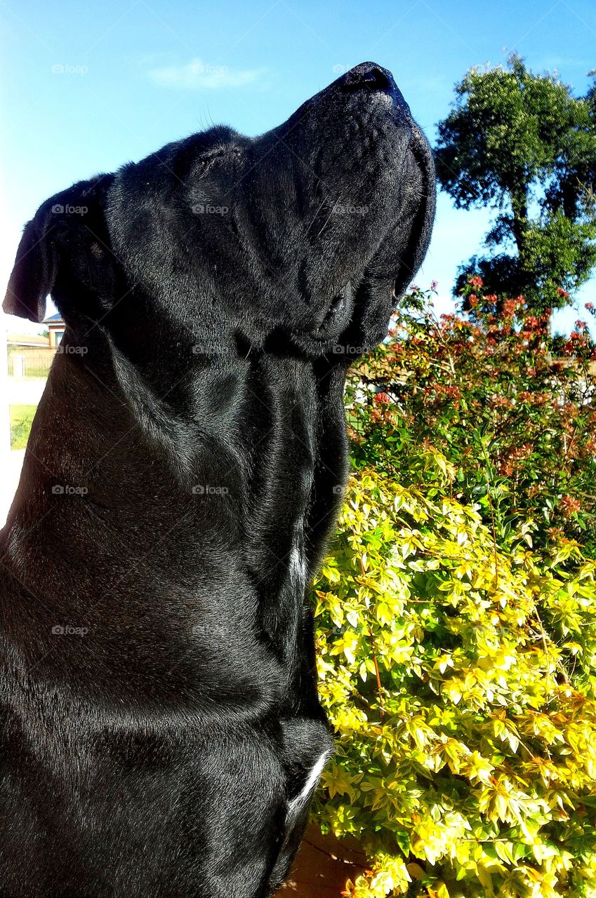 Nothing better than taking a sunbathe