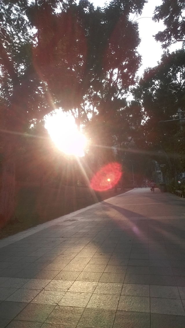 Sunlight