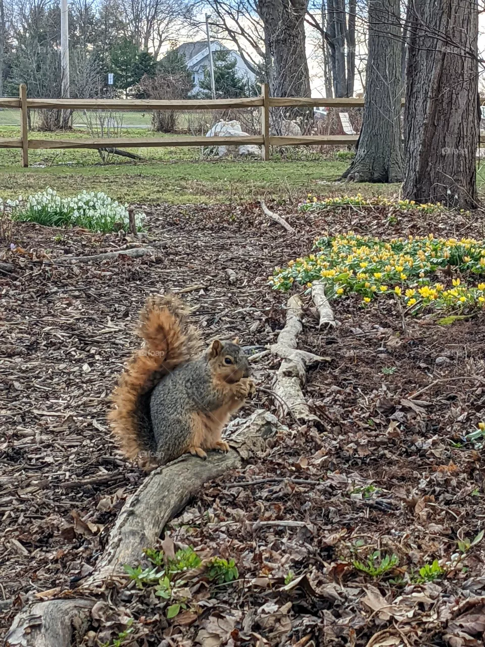 Spring is here