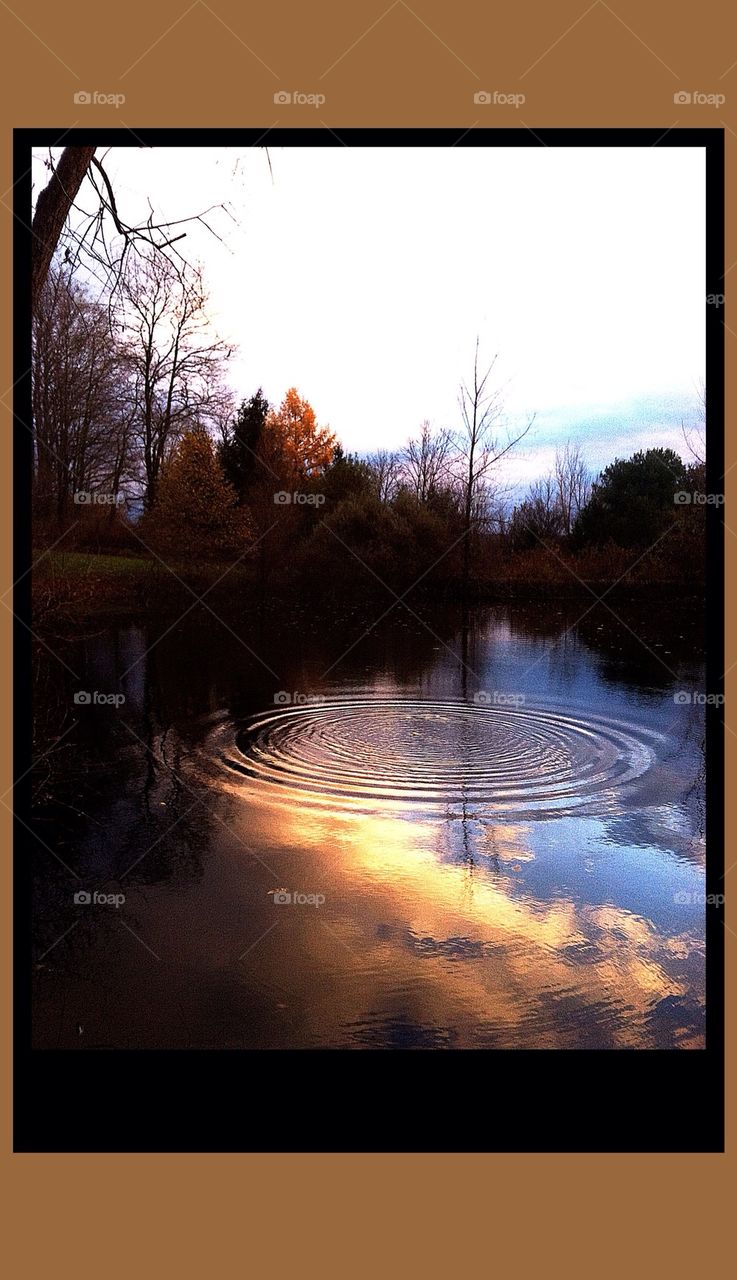 Pond Sunset