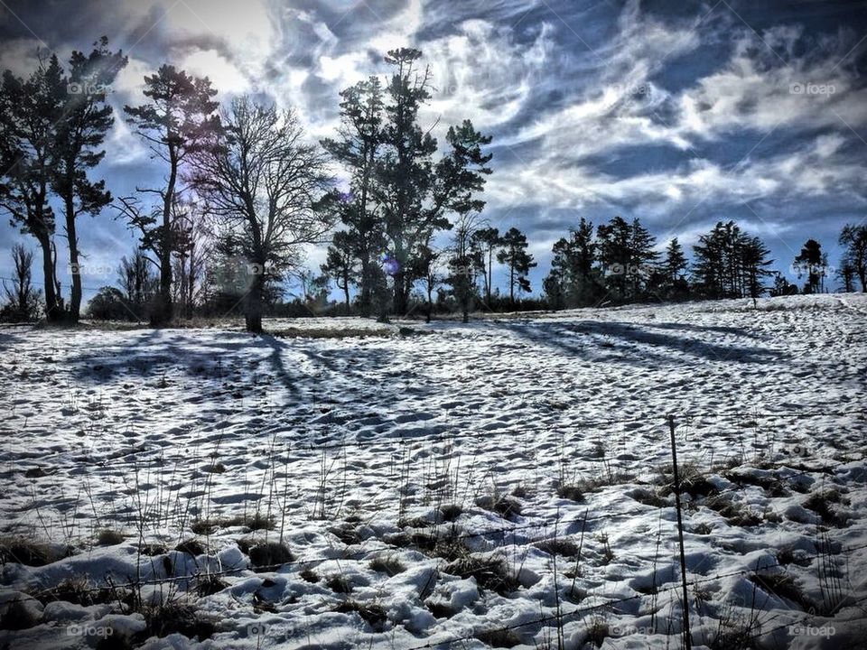 Van Reenen South Africa