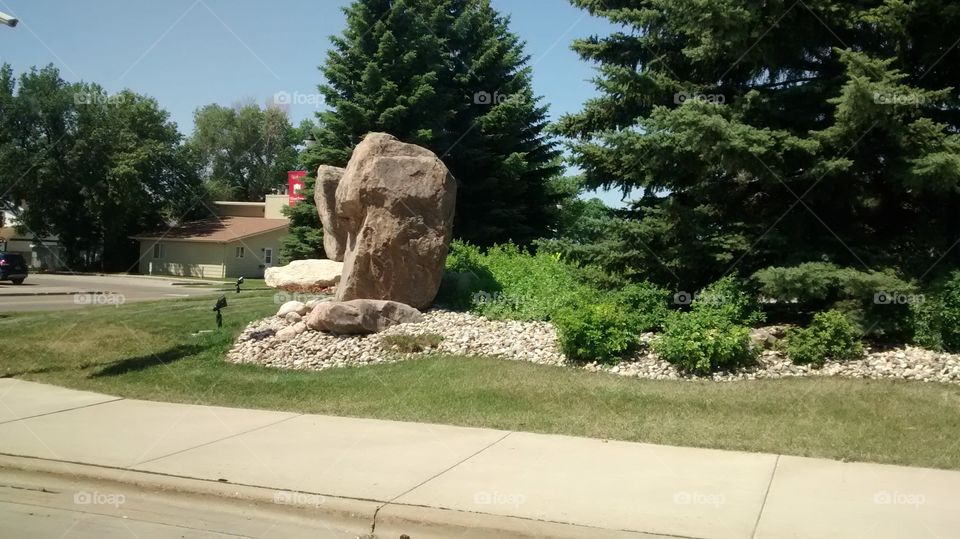 Tree, No Person, Park, Outdoors, Landscape