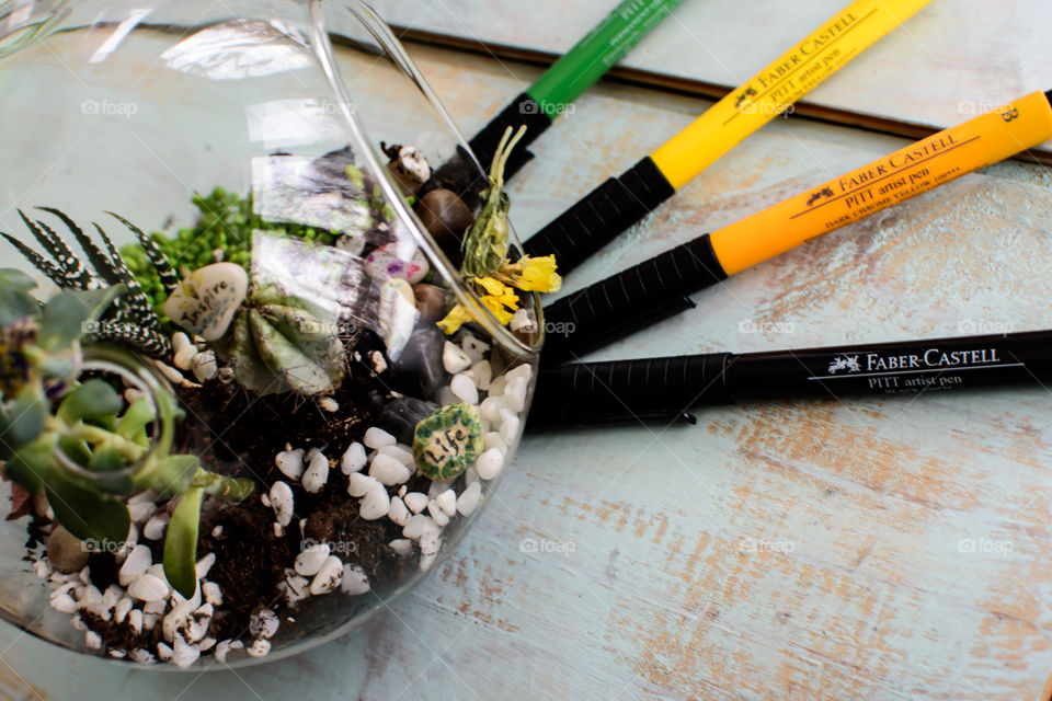 Thinking green Faber-Castell artist Pens in green and yellow next to succulent dome garden with hand drawn creativity stones in plants 