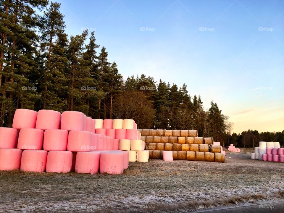 Bale of hay! 