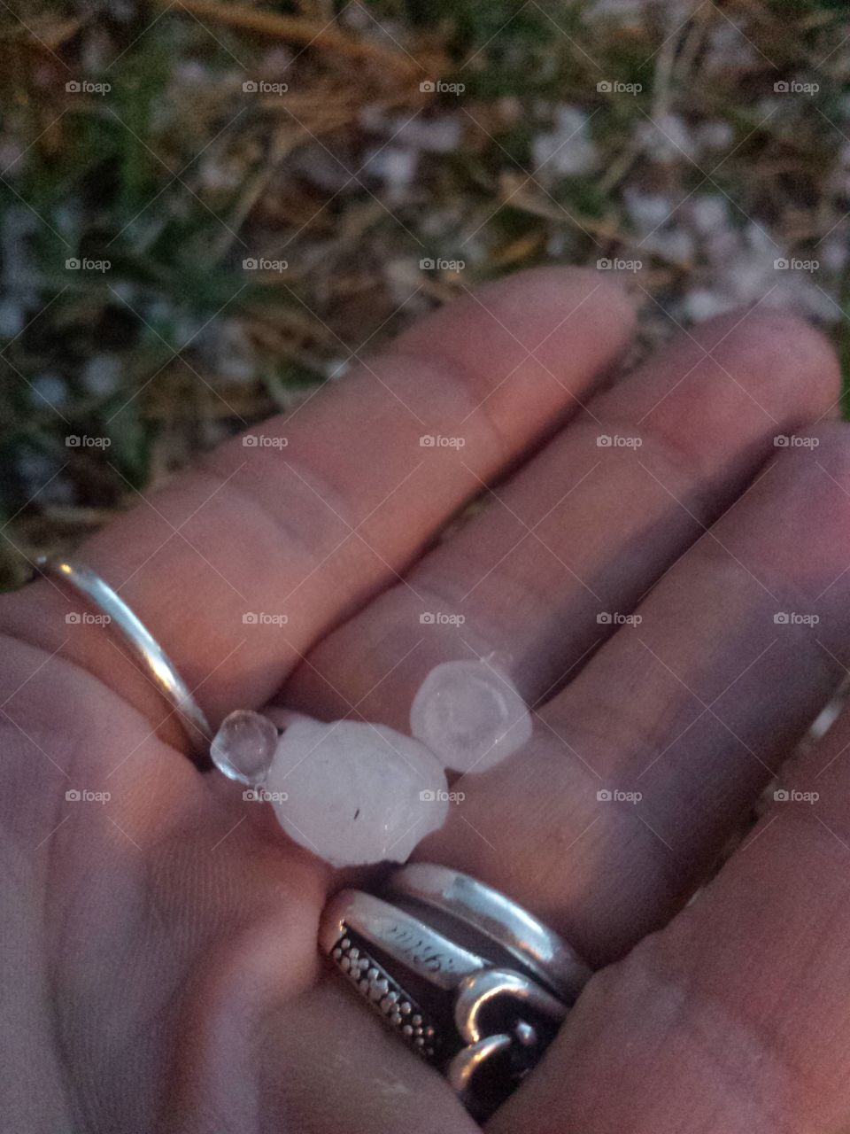 Hail Melting