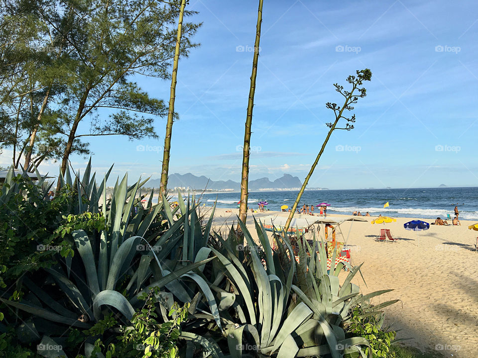 Beach day at Rio de Janeiro 
