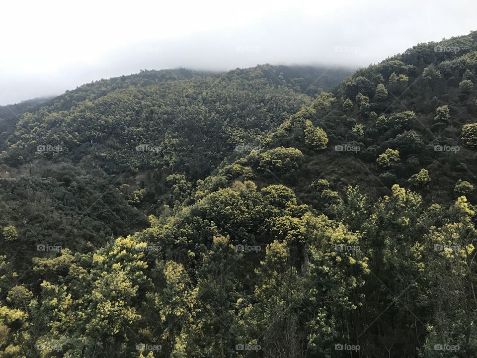 Parque biológico da Lousã 