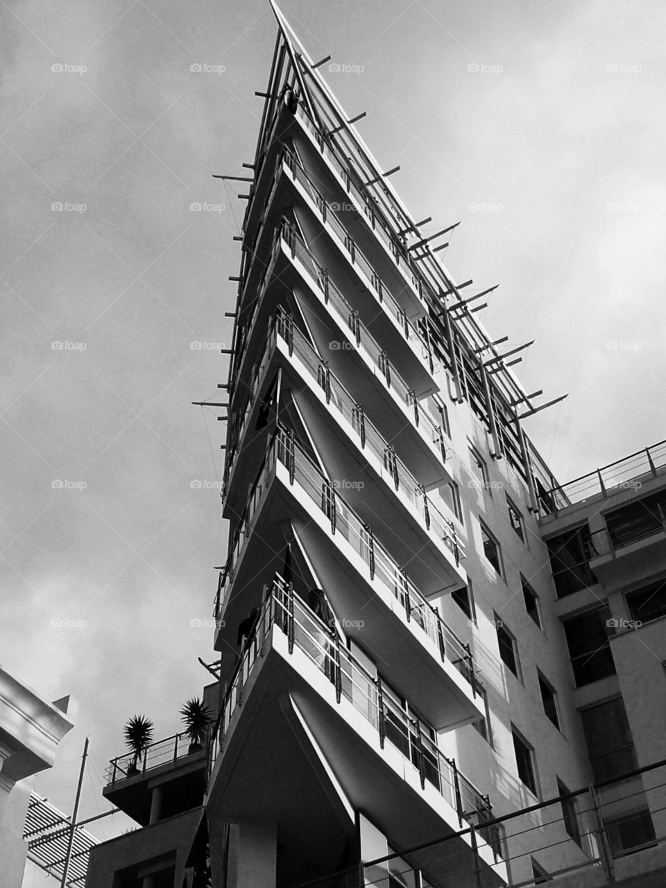 Wellington Architecture. Housing in Wellington NZ. Taken from below. 