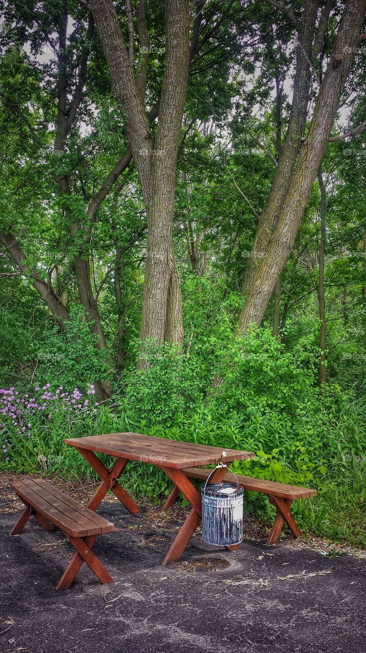 Picnic Table