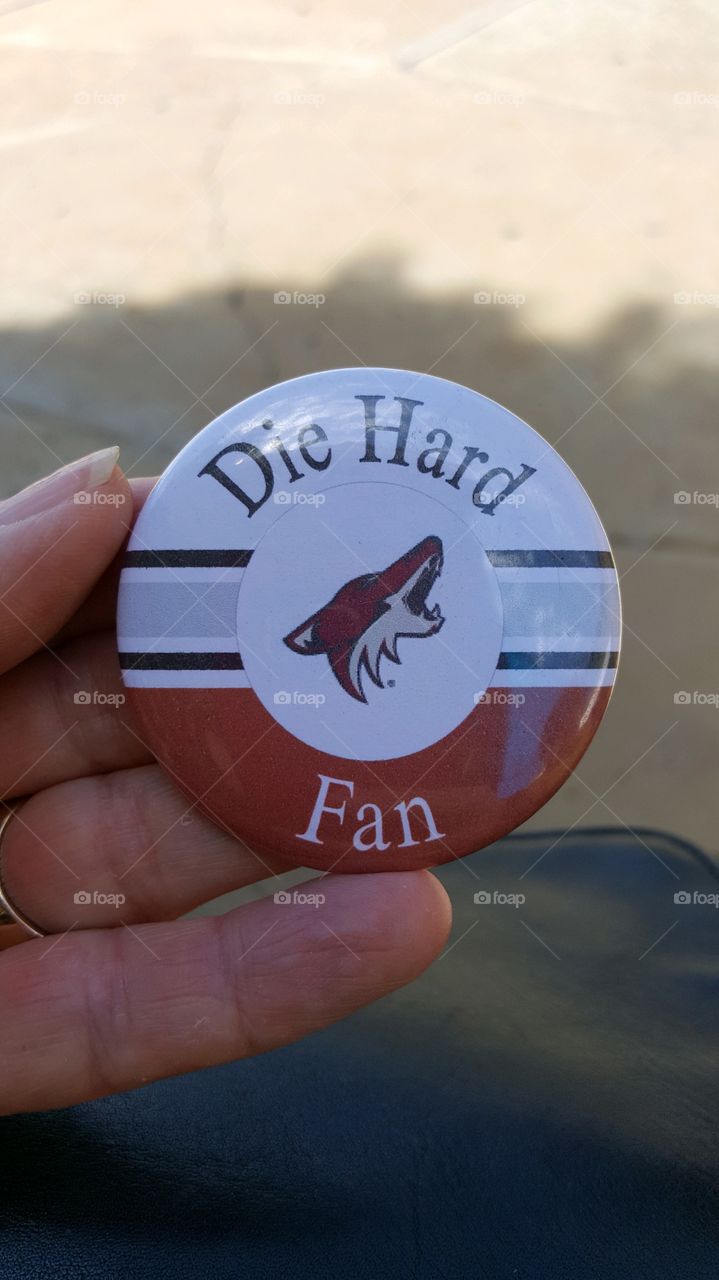 AZ Coyotes pin