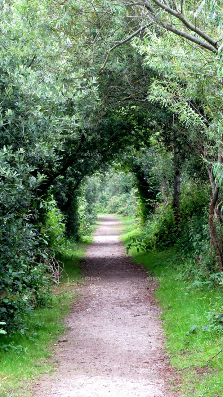 Green arch