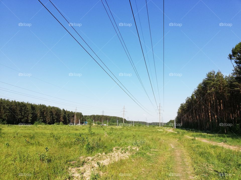 High voltage lines in the forest Ivanovo Russia