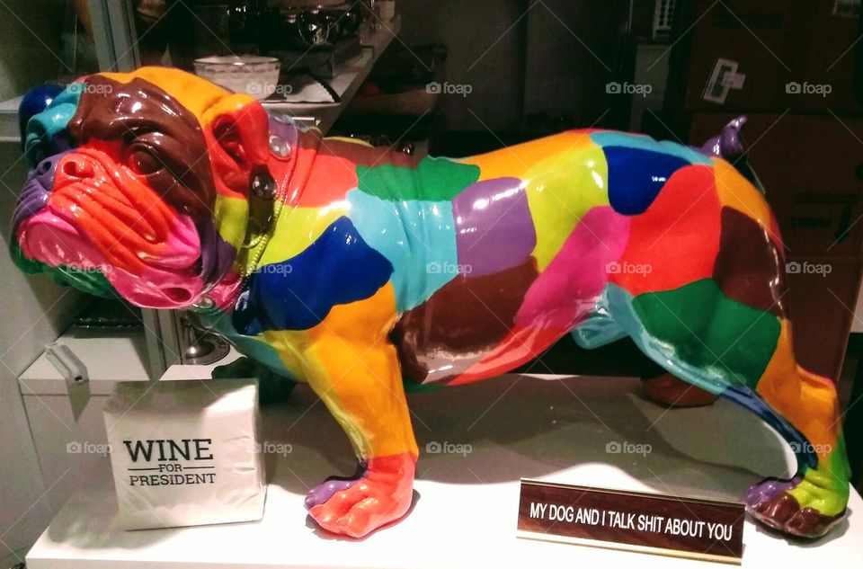 Fun Colorful Dog In Window of NYC Store