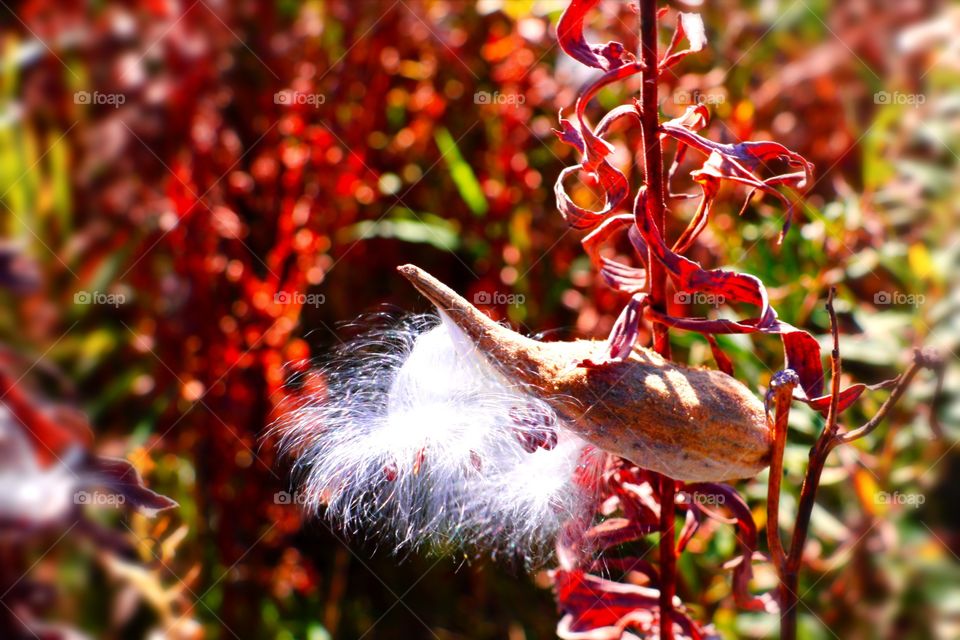 Nature and its beauty