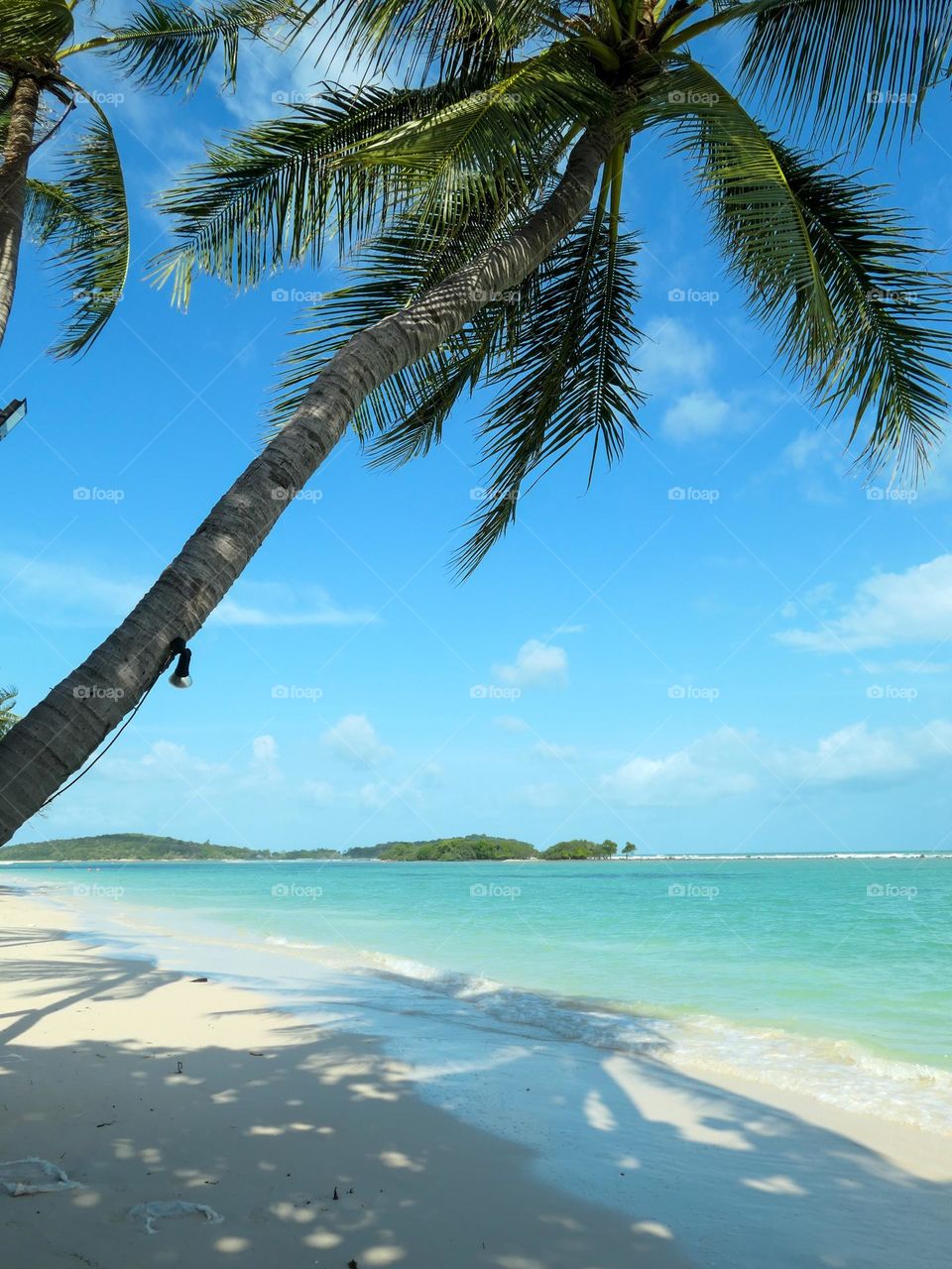 Palm tree and turquoise sea in Koh Samui