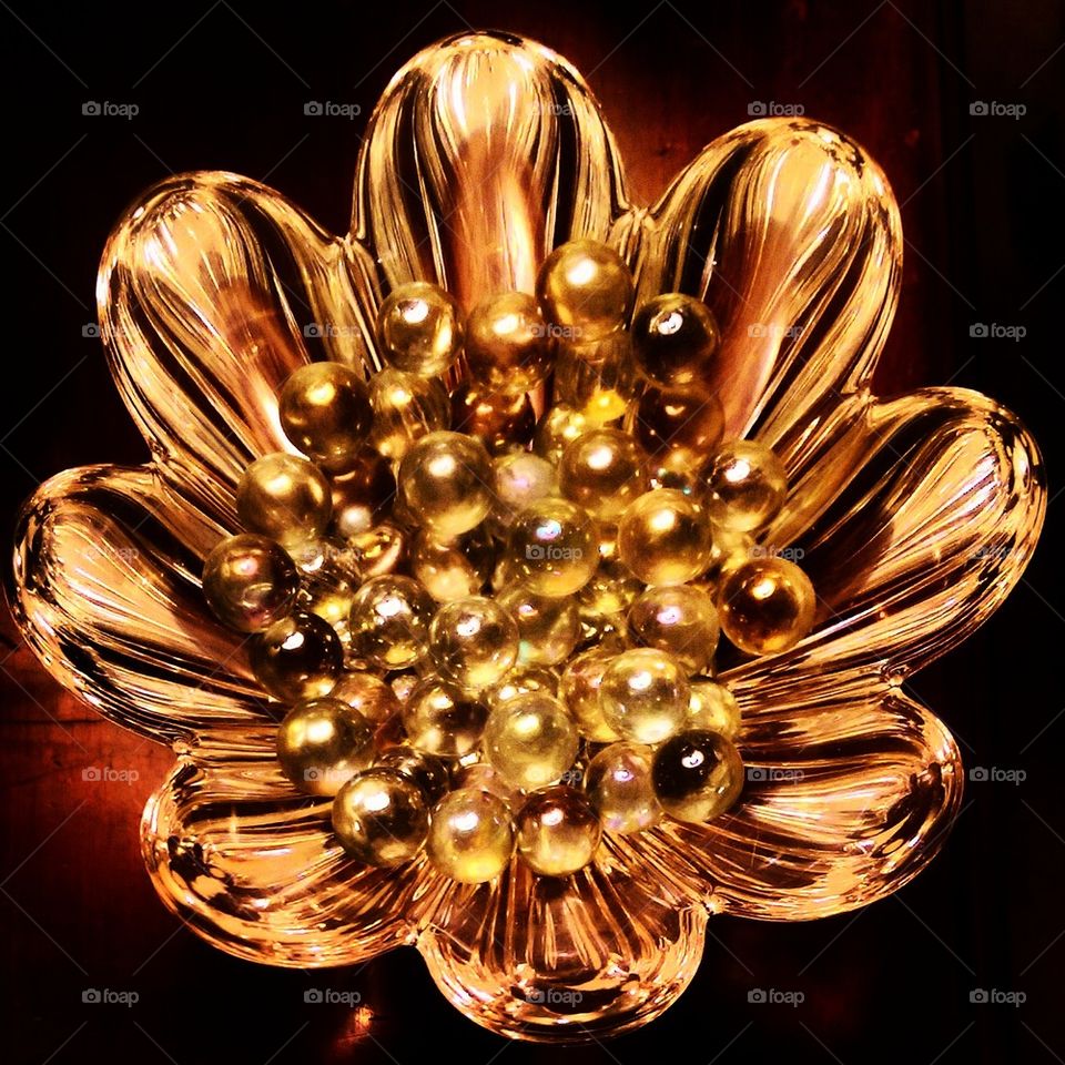 Golden Pearl Flower 