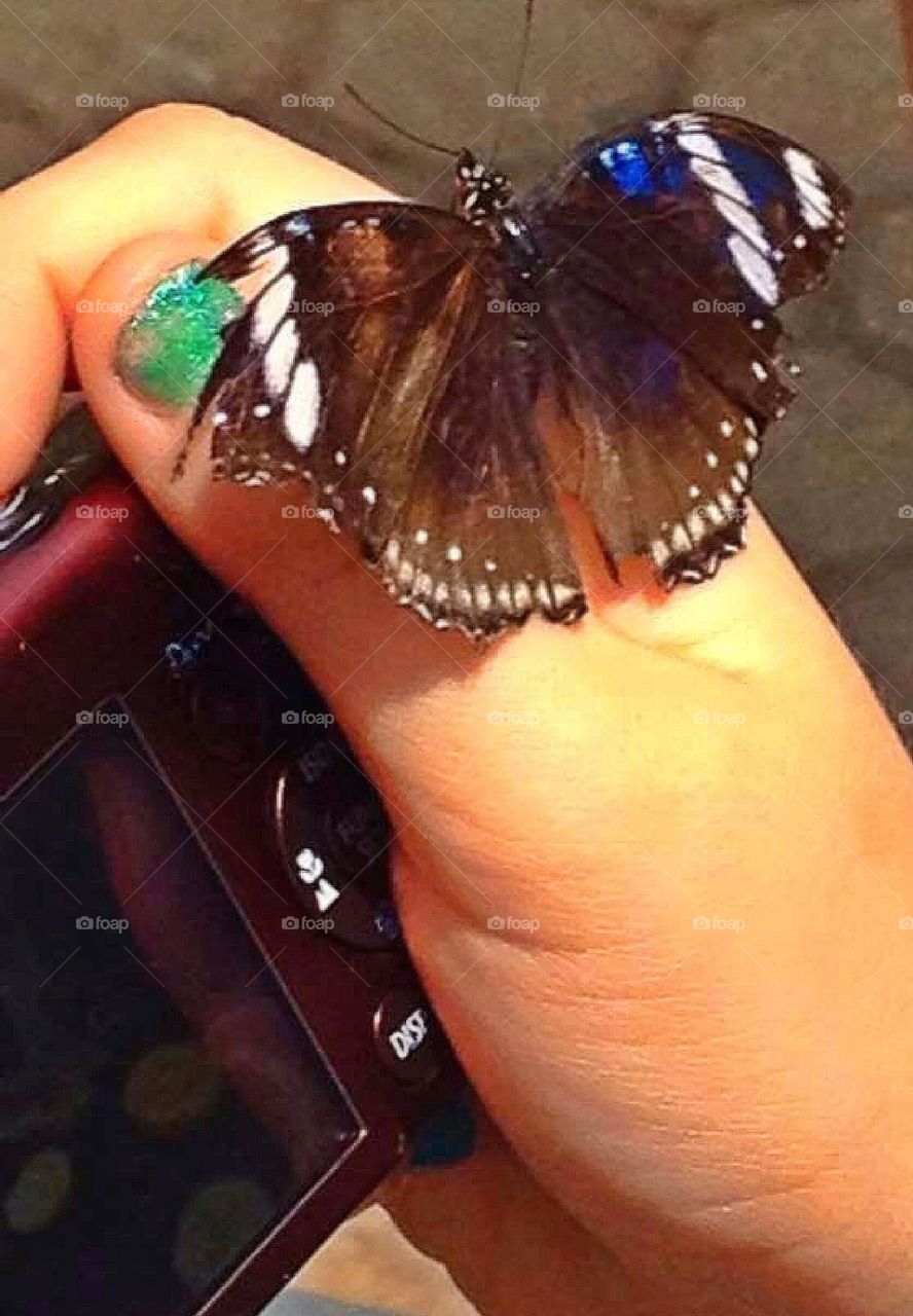 Butterfly on her finger