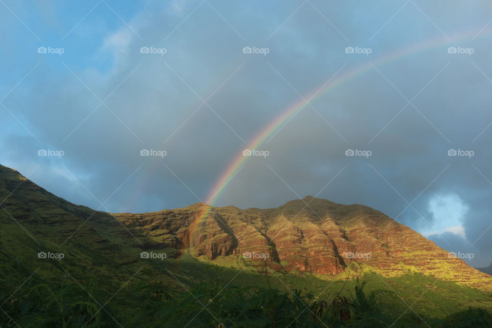 Hawaiian rainbow 