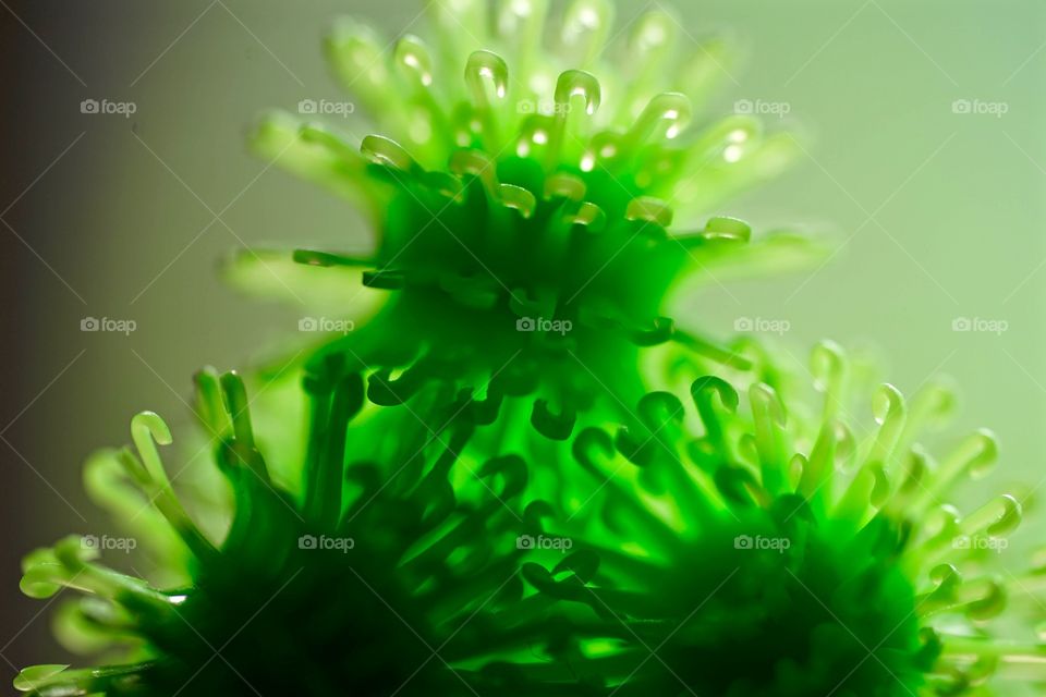 Green Chaos