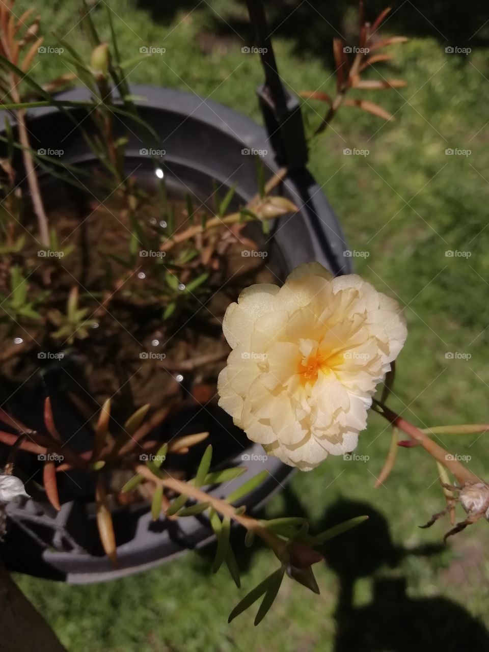 After yesterday's  rain