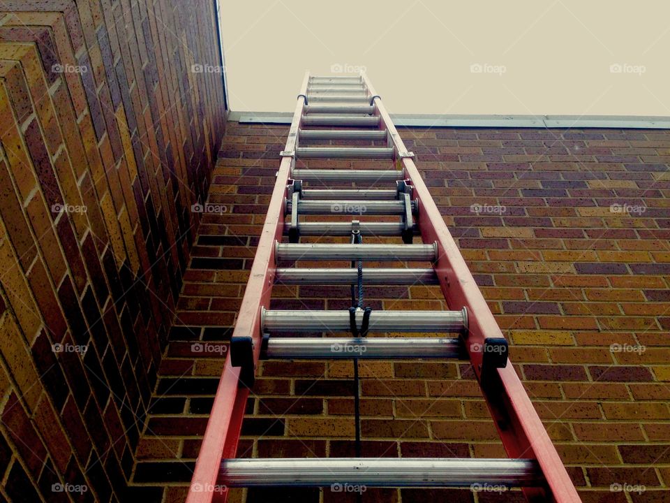 Ladder up. Novel view of some renovation.