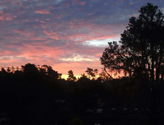 sunset