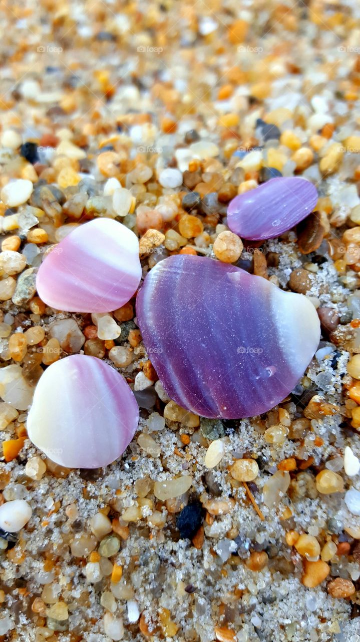 Seashells on pebble stones