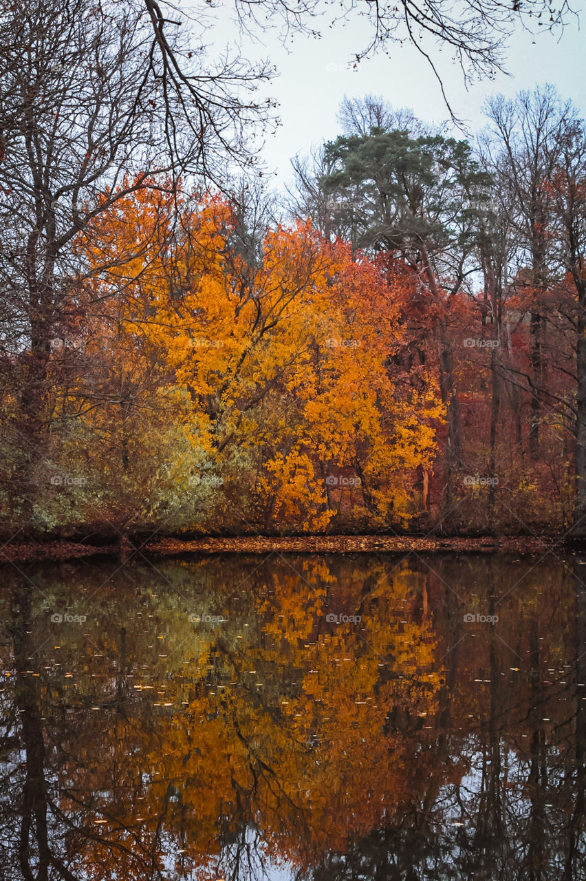 Beautiful autumn in Czech 