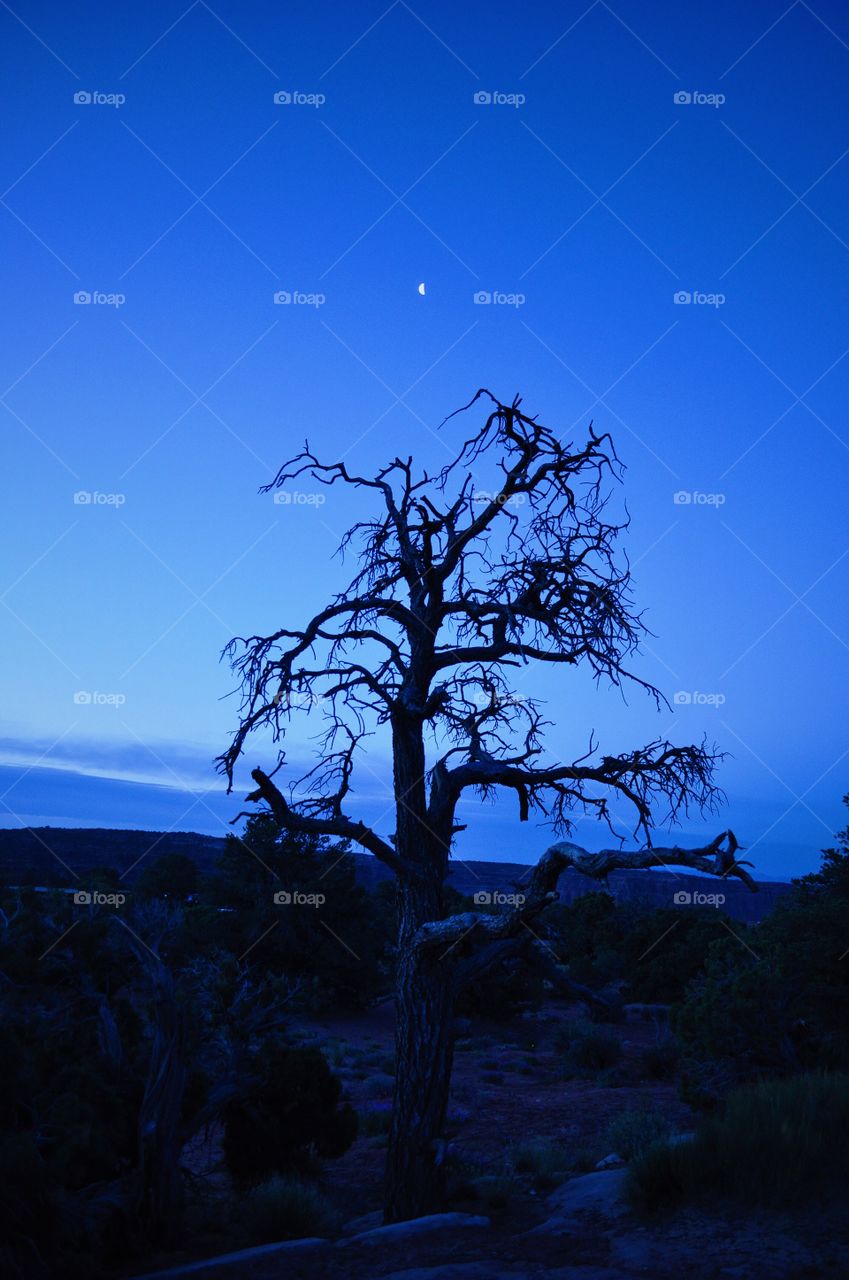 Dusk at the Campsite. Utah - first camping adventure in the Midwest 