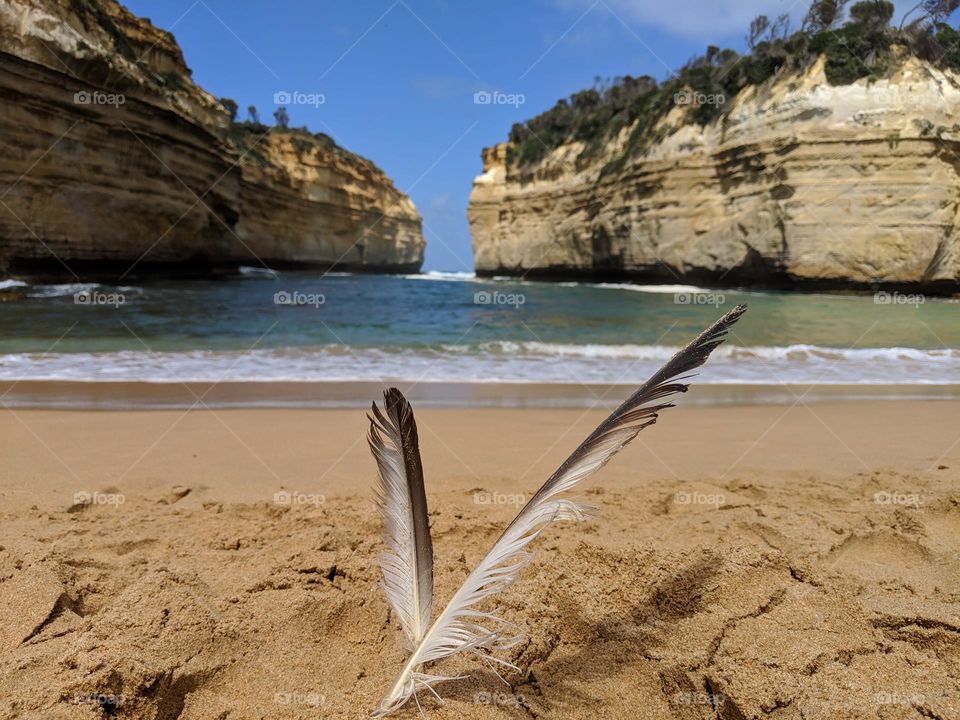 Falling feathers on the beach