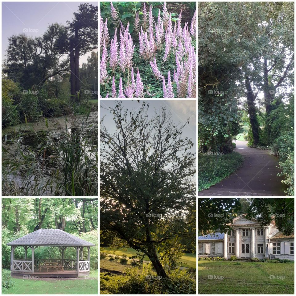 Ботанический сад в Риге