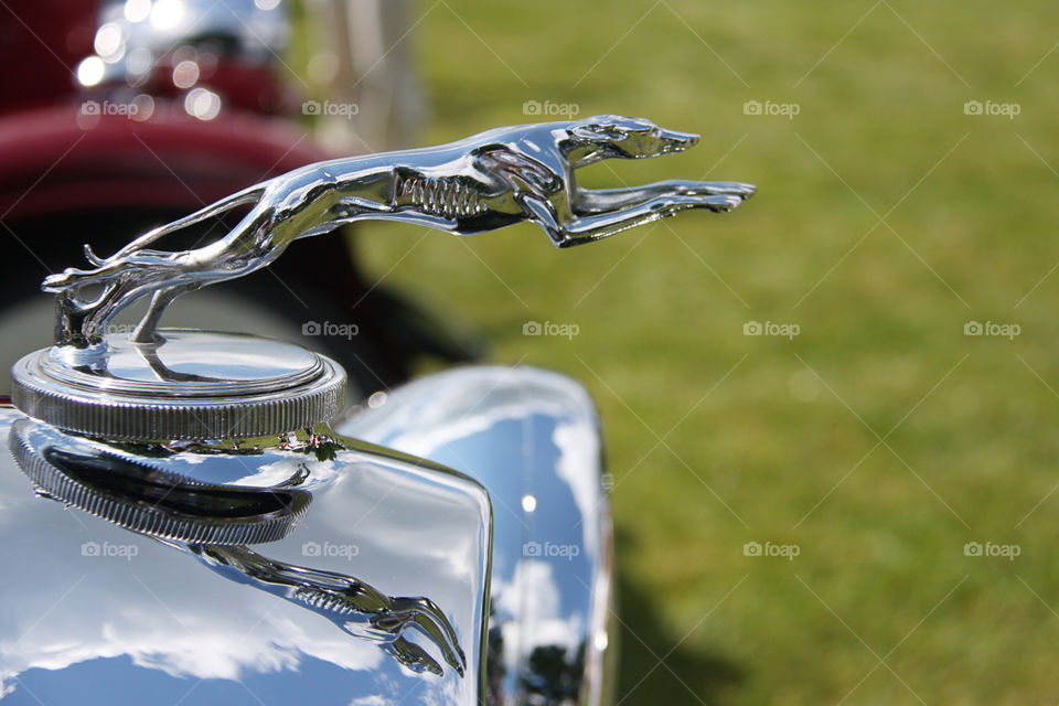 Greyhound hood ornament on an antique Ford