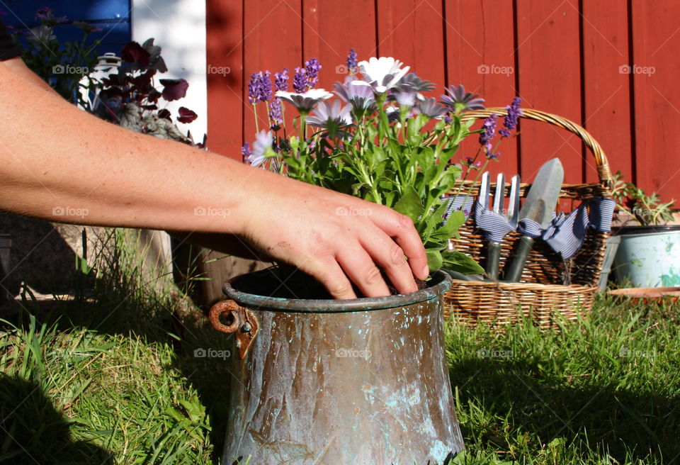 Gardening