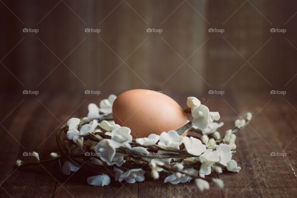 Close-up of a egg