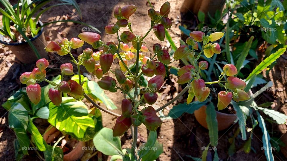 Waiting for them to open 3