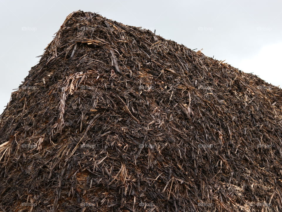sugarcane pile